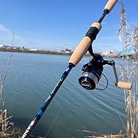 Amazon | アブガルシア(Abu Garcia) バスロッド Fantasista Deez